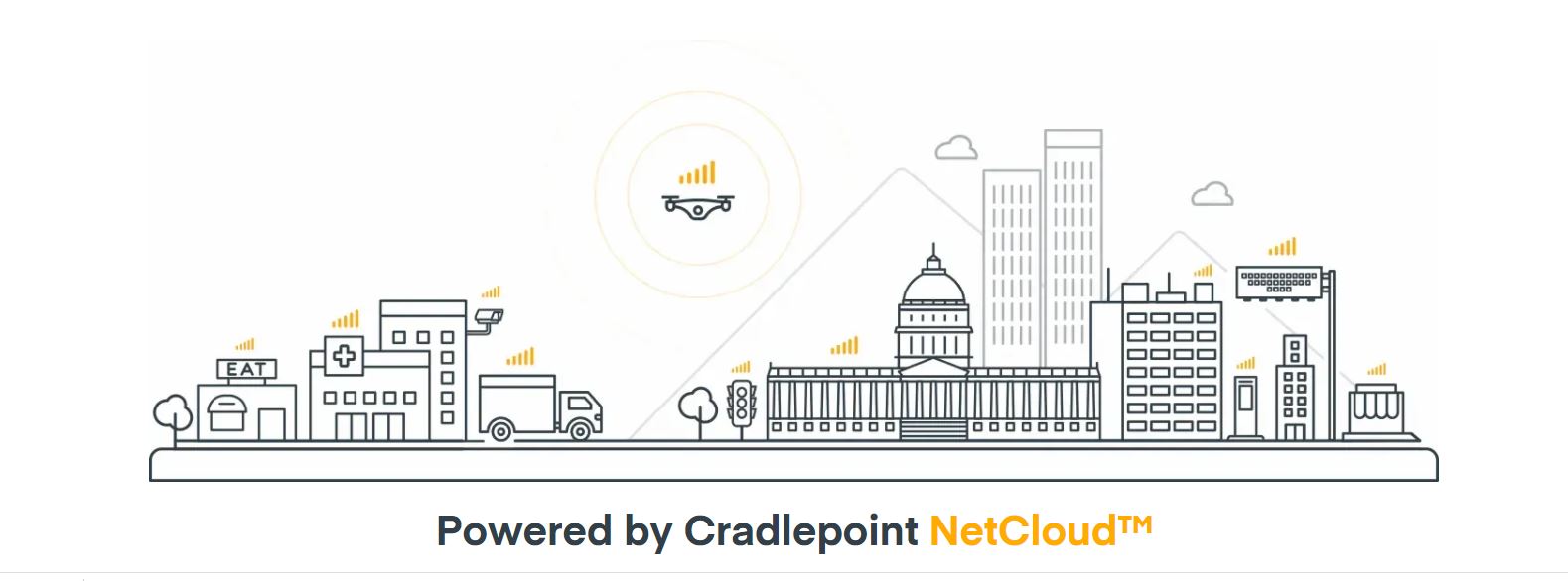 Cradlepoint Netcloud 
