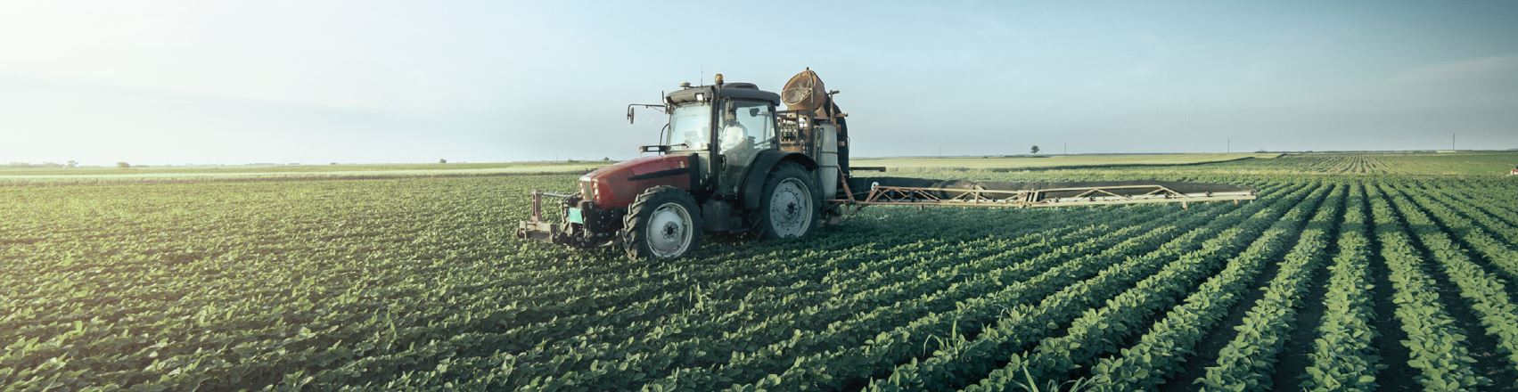 Landbouw